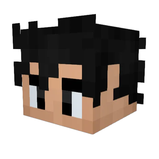 Panchors11 Minecraft avatar head, 3D render