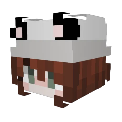 Panda0fTheTrash Minecraft avatar head, 3D render
