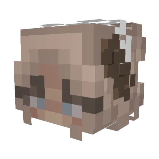 Panda100 Minecraft avatar head, 3D render