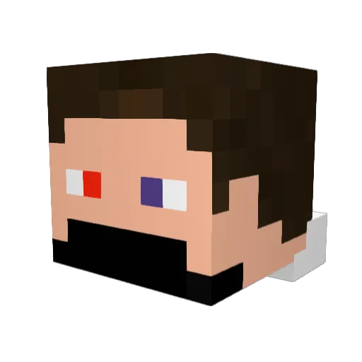 Panda123P Minecraft avatar head, 3D render