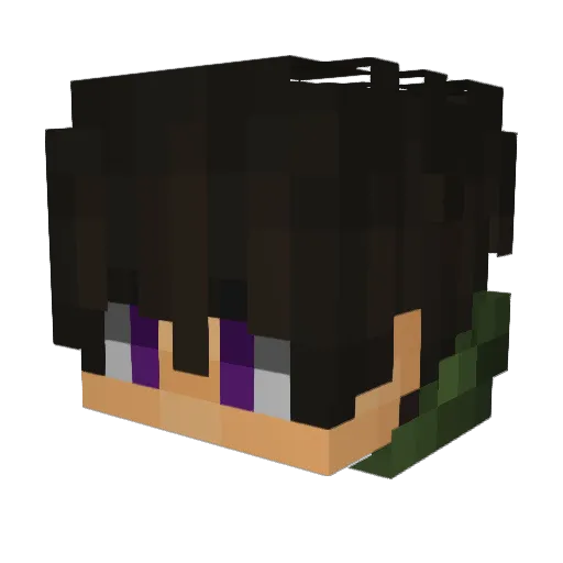 Panda1658 Minecraft avatar head, 3D render