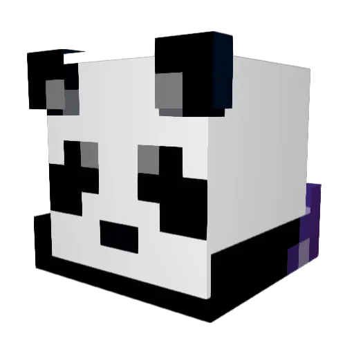 Panda2898 Minecraft avatar head, 3D render