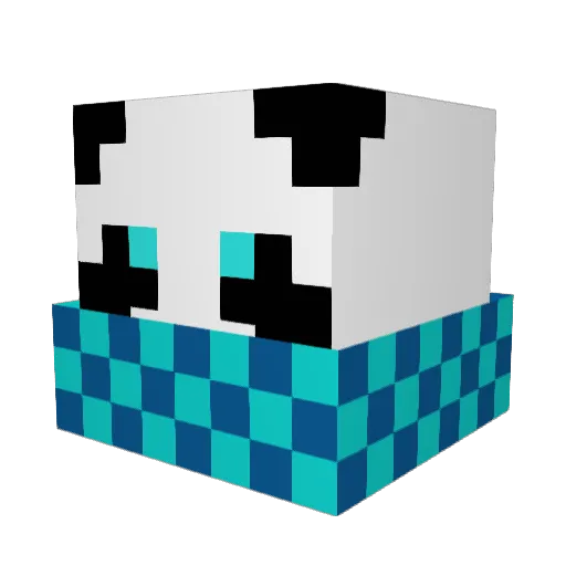 Panda295 Minecraft avatar head, 3D render