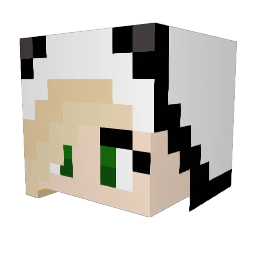 Panda431 Minecraft avatar head, 3D render