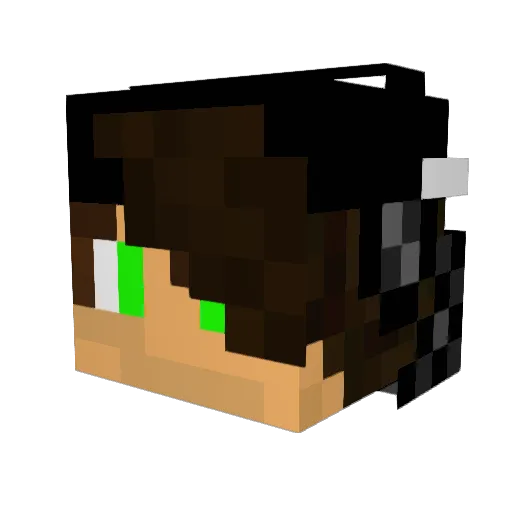 Panda4Gaming_ Minecraft avatar head, 3D render