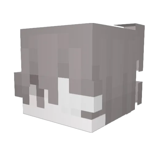 Panda5567 Minecraft avatar head, 3D render