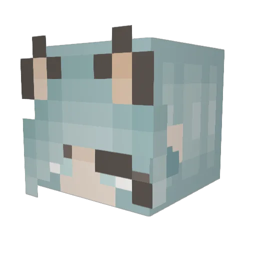 Panda664 Minecraft avatar head, 3D render