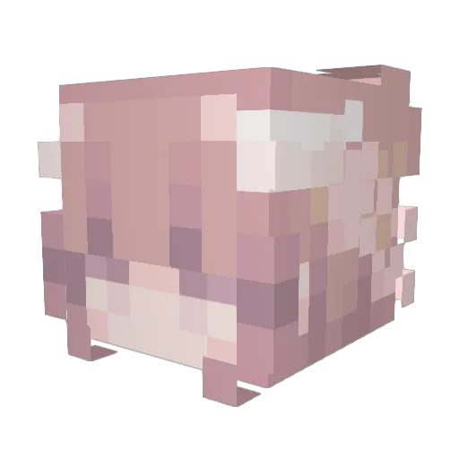 Panda66666 Minecraft avatar head, 3D render
