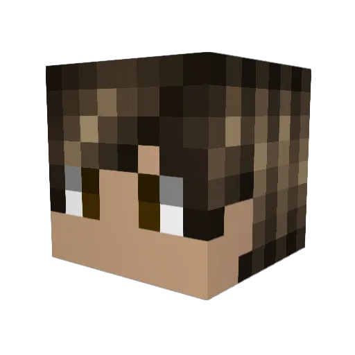 Panda9700 Minecraft avatar head, 3D render