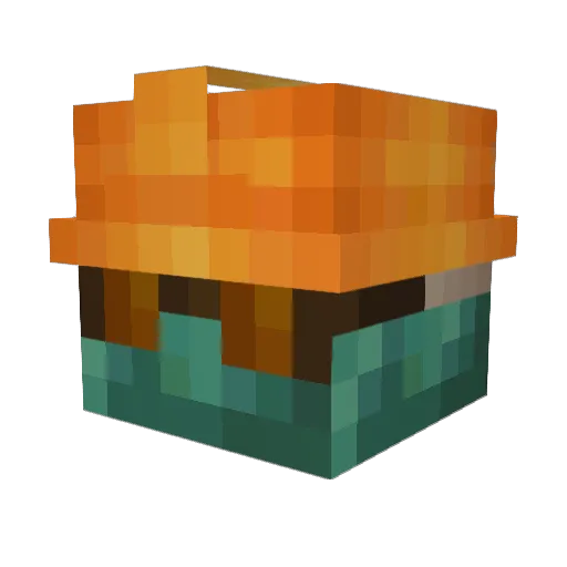 PandaBadger21 Minecraft avatar head, 3D render