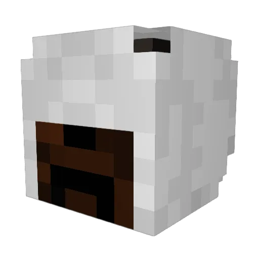 PandaBeVibin Minecraft avatar head, 3D render
