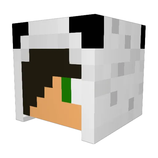 PandaBear123i Minecraft avatar head, 3D render