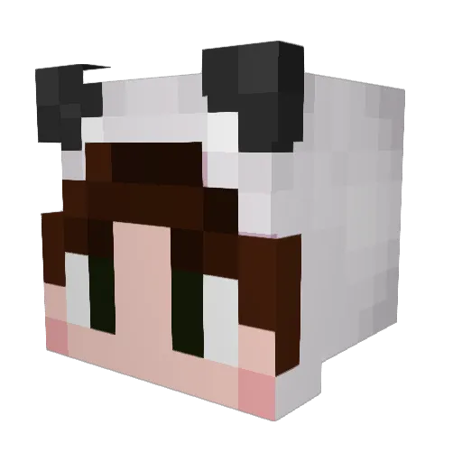 PandaBoi02 Minecraft avatar head, 3D render