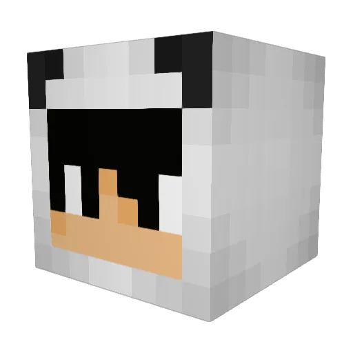 PandaBoi Minecraft avatar head, 3D render