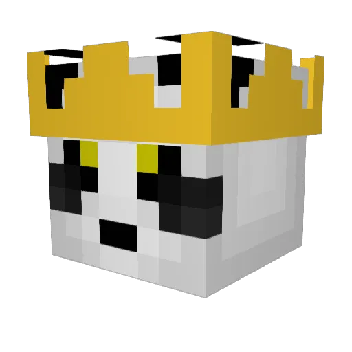 PandaBoy54 Minecraft avatar head, 3D render