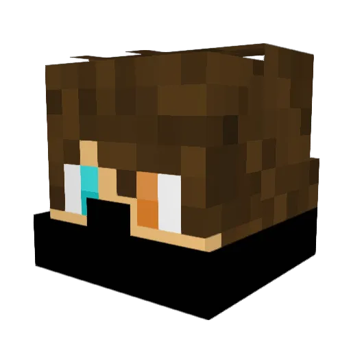 PandaBoyNinja Minecraft avatar head, 3D render