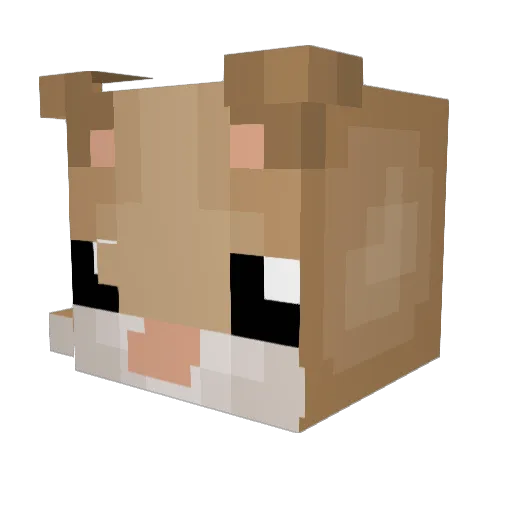 PandaCheeks Minecraft avatar head, 3D render