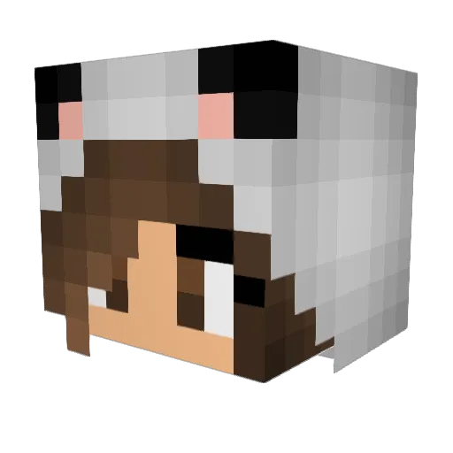 PandaCloud14 Minecraft avatar head, 3D render