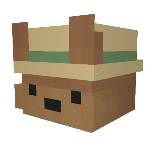 PandaCraft9001 Minecraft avatar head, 3D render