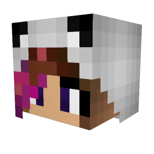 PandaCraft_817 Minecraft avatar head, 3D render