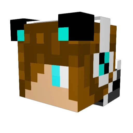PandaDude15 Minecraft avatar head, 3D render