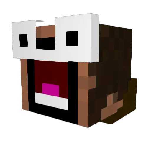 PandaExpress45 Minecraft avatar head, 3D render