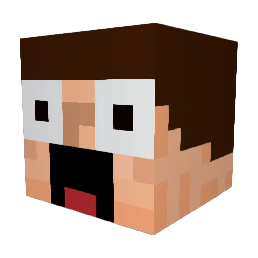 PandaExpress6969 Minecraft avatar head, 3D render