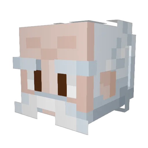 PandaFaff Minecraft avatar head, 3D render