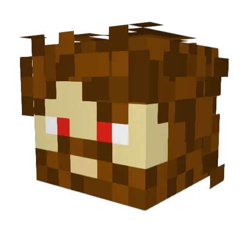 PandaFicko16 Minecraft avatar head, 3D render