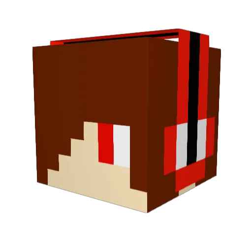 PandaFou76 Minecraft avatar head, 3D render