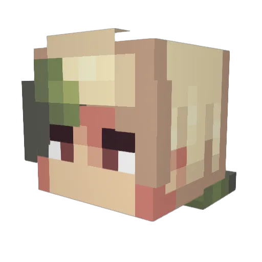 PandaGO63 Minecraft avatar head, 3D render