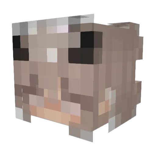 PandaGalaxie Minecraft avatar head, 3D render