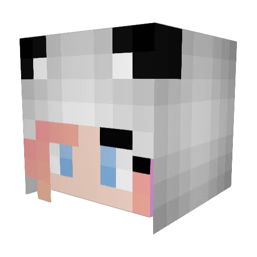 PandaGamer244 Minecraft avatar head, 3D render