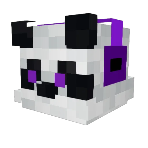 PandaGamer555 Minecraft avatar head, 3D render