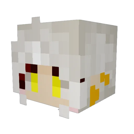 PandaGaymerZ Minecraft avatar head, 3D render