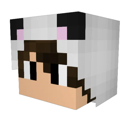 PandaGhoul00 Minecraft avatar head, 3D render