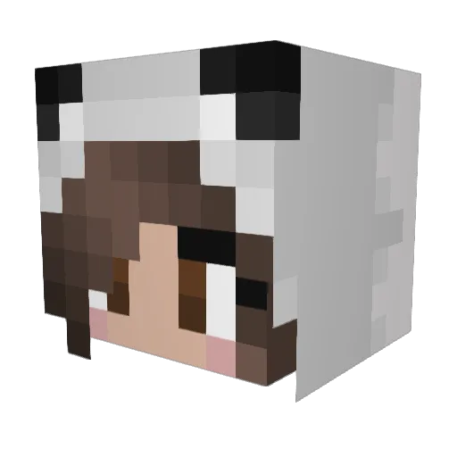 PandaGirlS05 Minecraft avatar head, 3D render
