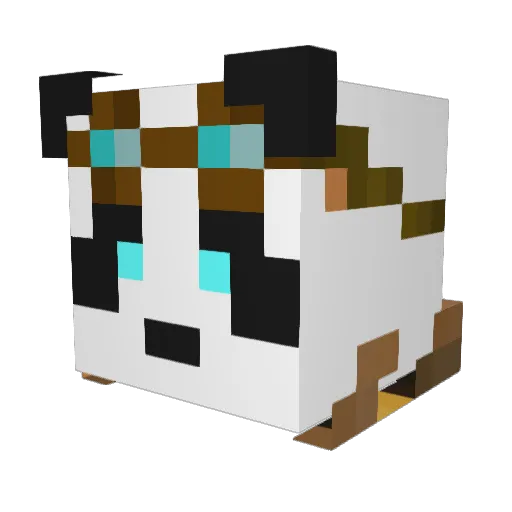 PandaGod1234 Minecraft avatar head, 3D render