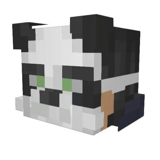 PandaGomes Minecraft avatar head, 3D render