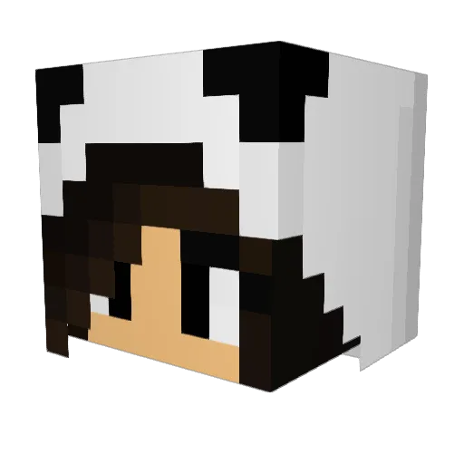 PandaGurl1104 Minecraft avatar head, 3D render