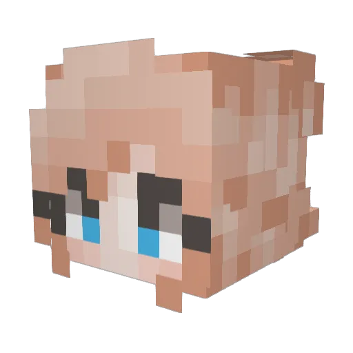PandaHero585 Minecraft avatar head, 3D render