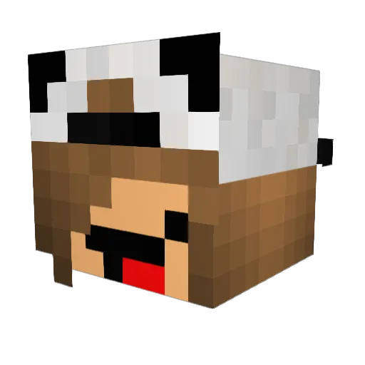 PandaJane Minecraft avatar head, 3D render