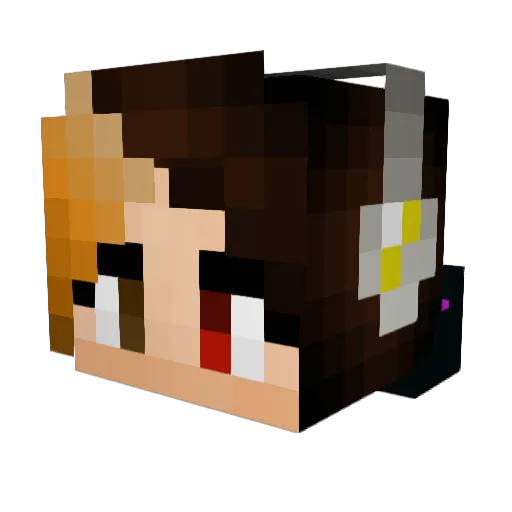 PandaJewel Minecraft avatar head, 3D render
