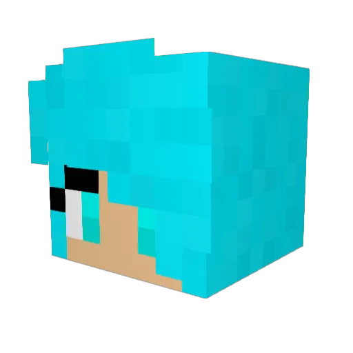 PandaKick23 Minecraft avatar head, 3D render