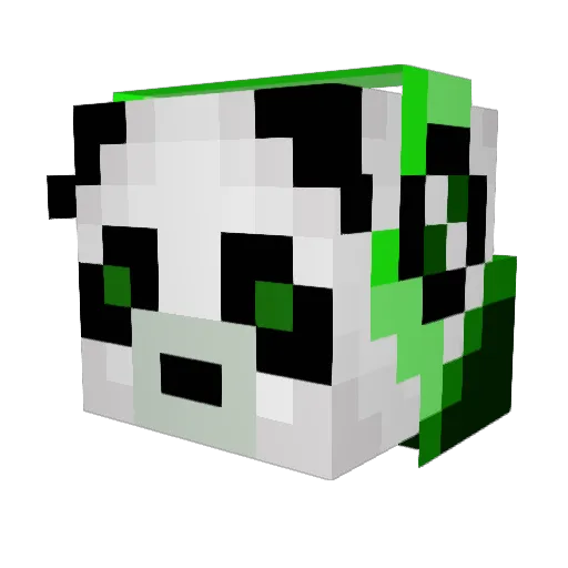 PandaKing1015 Minecraft avatar head, 3D render