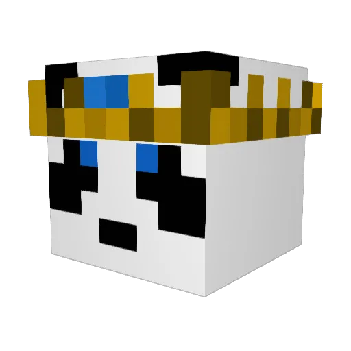 PandaKing_111 Minecraft avatar head, 3D render