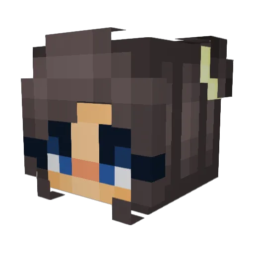 PandaLikeTheBear Minecraft avatar head, 3D render