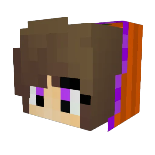 PandaLover13002 Minecraft avatar head, 3D render