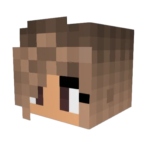 PandaLover8301 Minecraft avatar head, 3D render