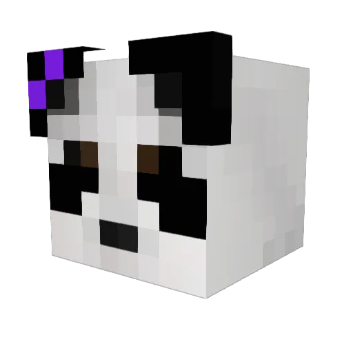 PandaLover8871 Minecraft avatar head, 3D render
